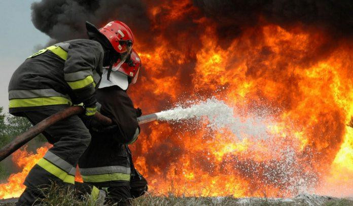 Συναγερμός στην Πυροσβεστική – Μεγάλη πυρκαγιά στο πευκοδάσος της Κίρκης στον Έβρο